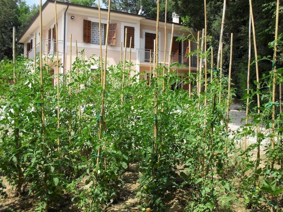 Apartment In Nature,10Min From City Perugia Ngoại thất bức ảnh
